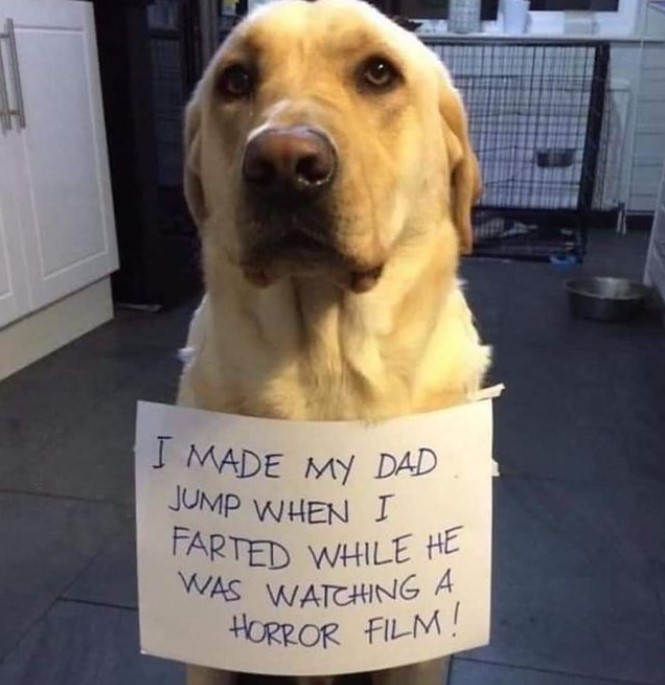 265169379_4628322653889255_2464816342968665635_n