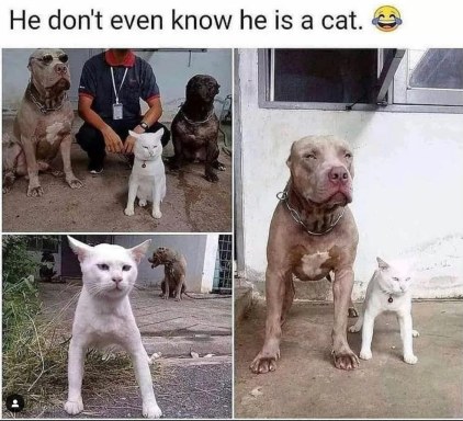 265328057_1247866619069549_7516771645911453258_n