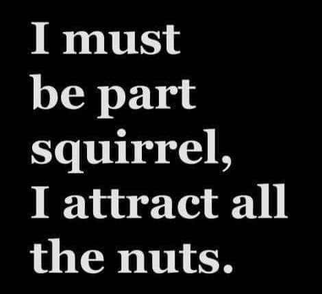 271823015_10159670770989299_9064877765434340132_n