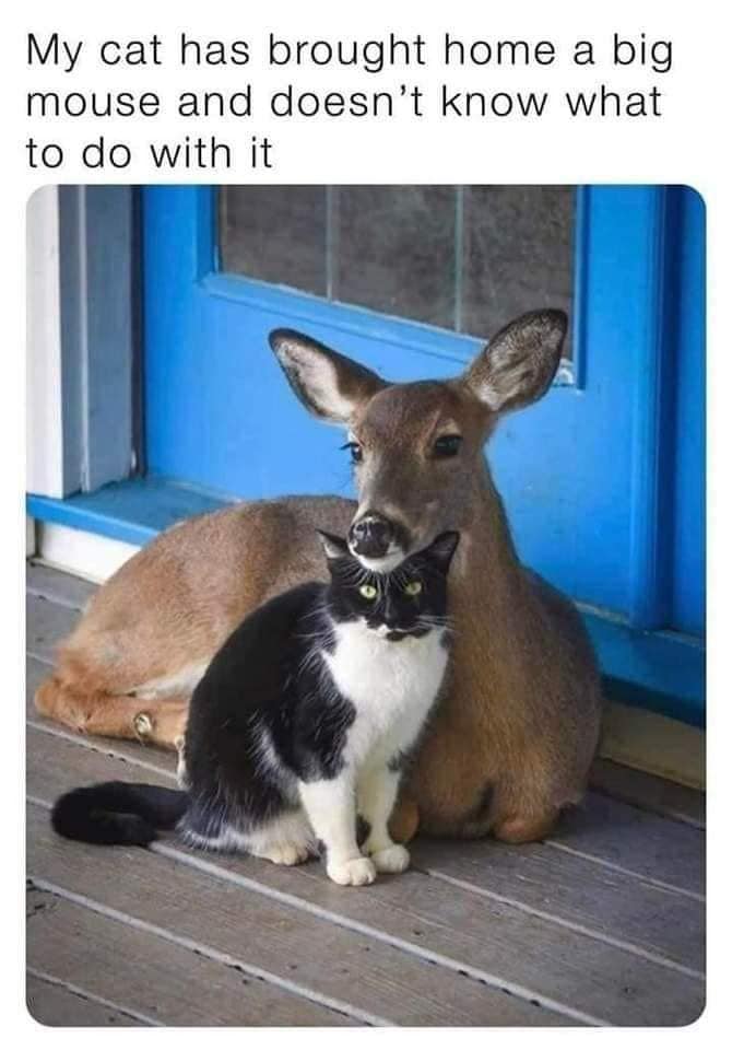 271892038_10159670770444299_5779282970785826796_n