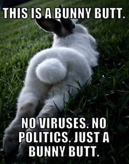 271971574_10159670772429299_1099157507419819764_n