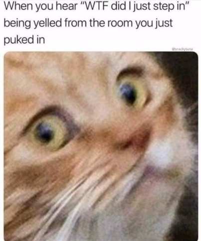 272172106_10159681881044299_8020980851310520193_n