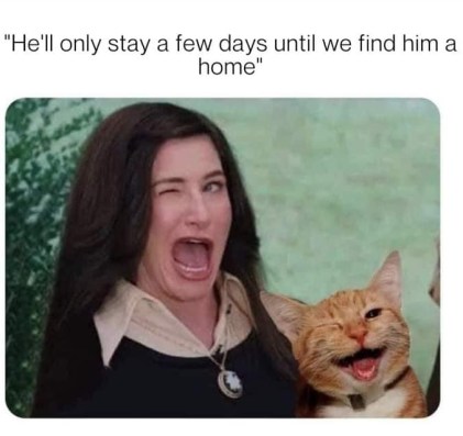 272198572_10159681881414299_7490406719006881101_n