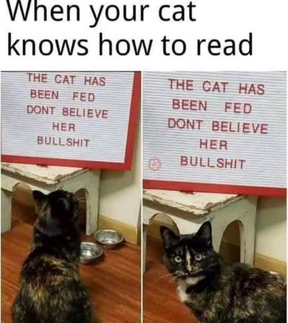 272201287_10159681882399299_2130715698287816418_n