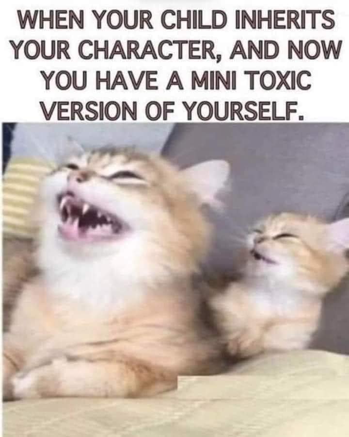 272210384_10159681882494299_6373550154448386648_n