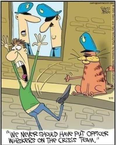 272211899_10159681882059299_1338962520953569443_n