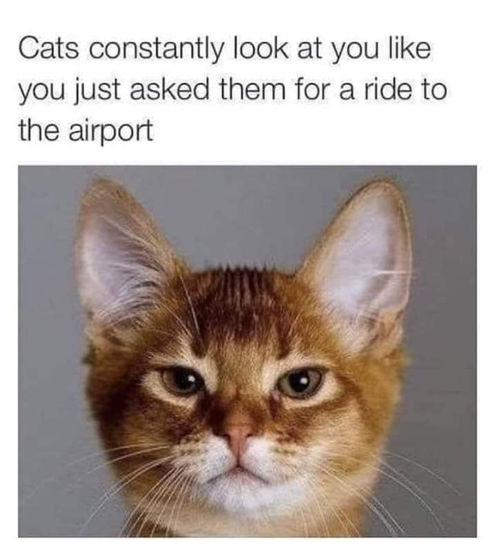 272245832_10159681880609299_6358781842083166229_n