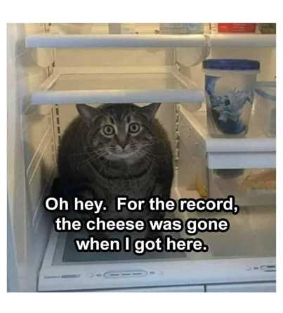 272249172_10159681880494299_7505469619546952520_n