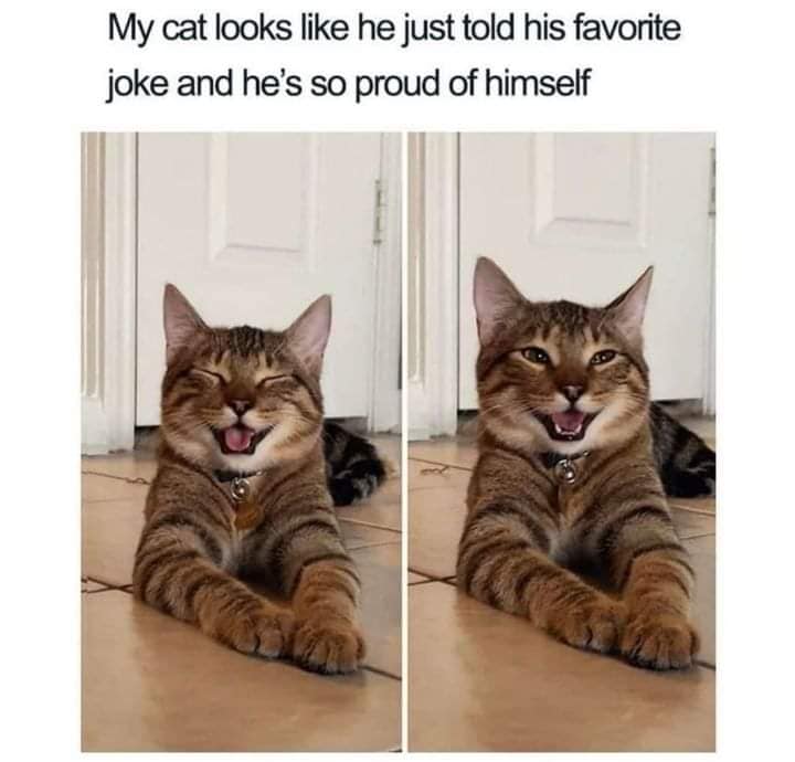 272251949_10159681881689299_2347355150828976422_n