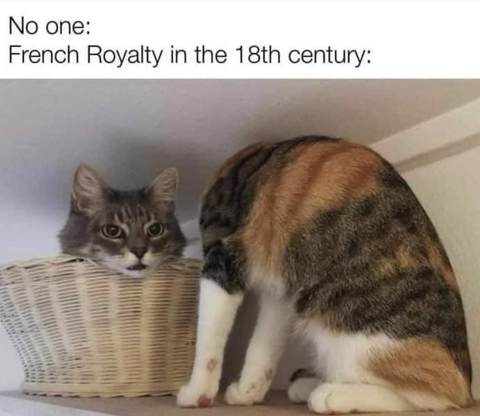 272387704_10159681880279299_730917724933335873_n