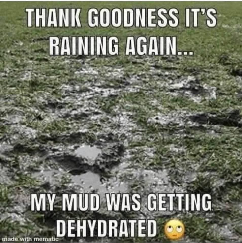 8e04cb403120008156221a3abc5309d7