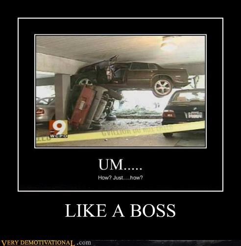 like-a-boss