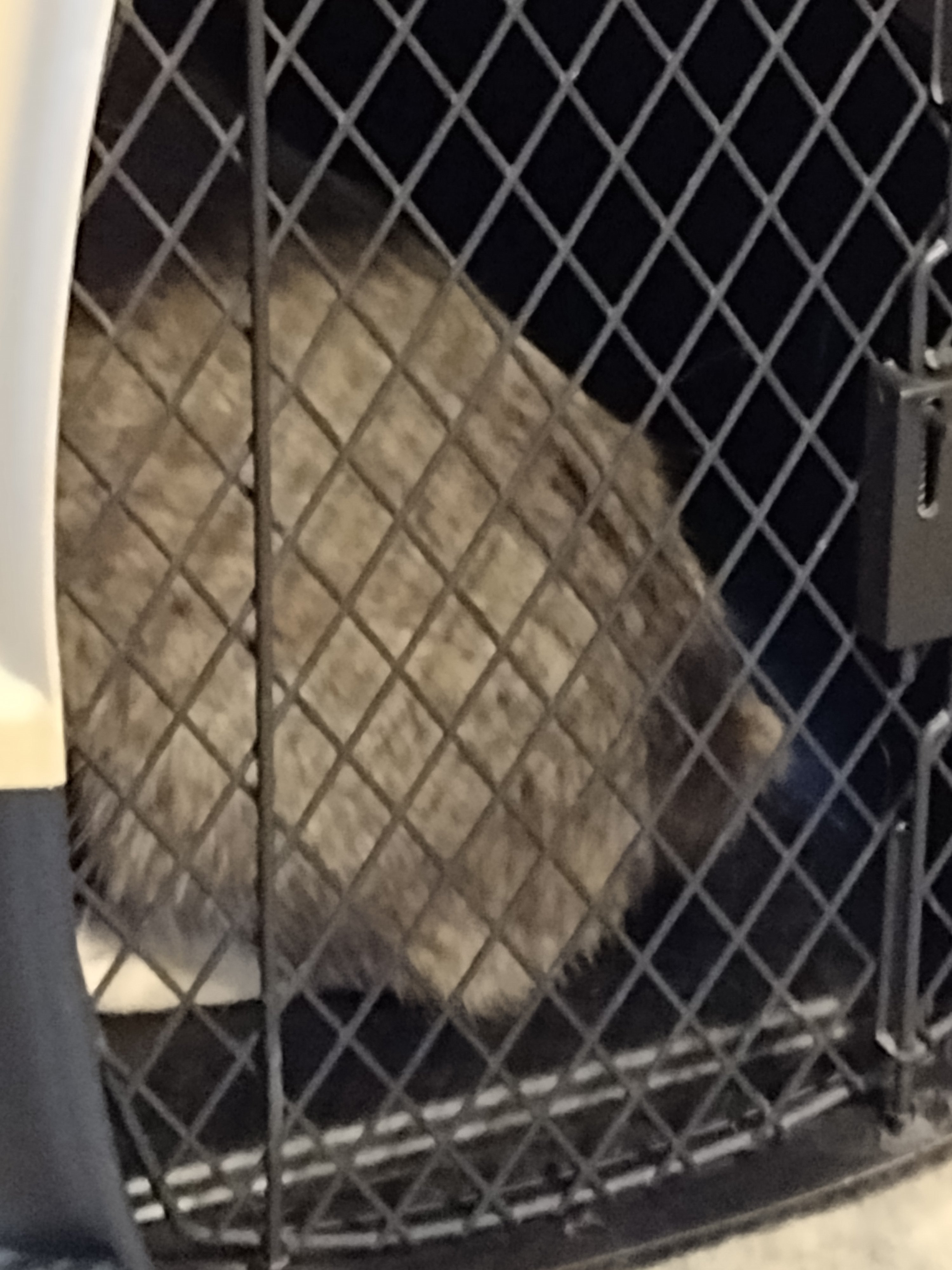 img_20221017_1242341157881645290503410507