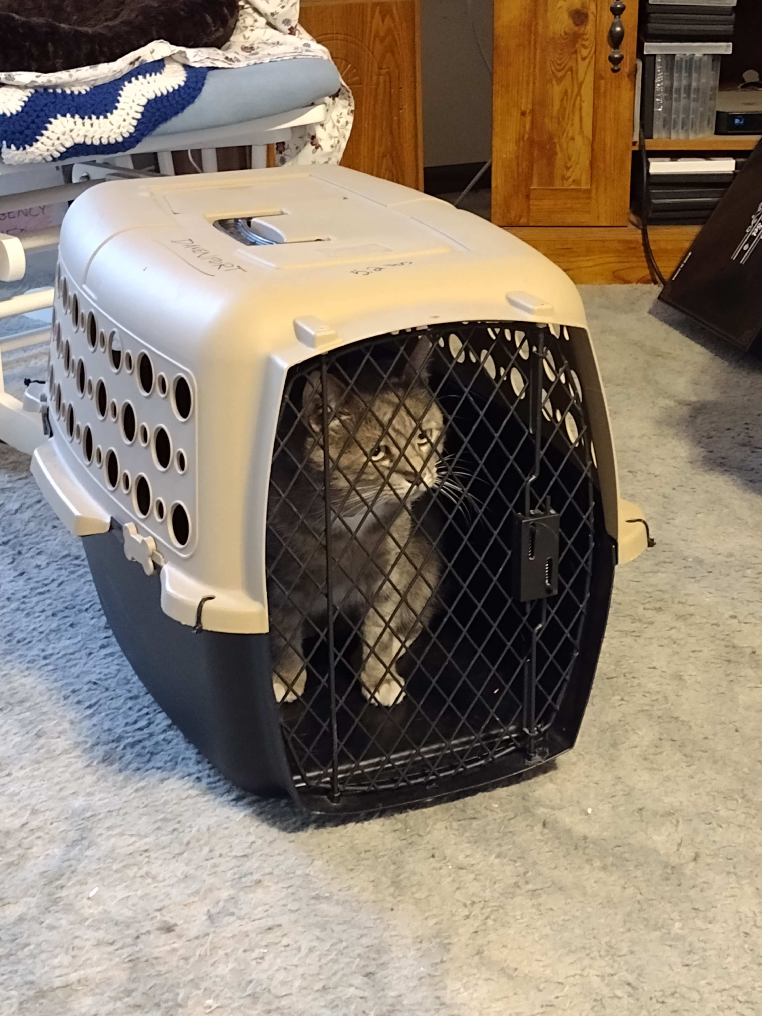 img_20221017_1243328697694271632381020684