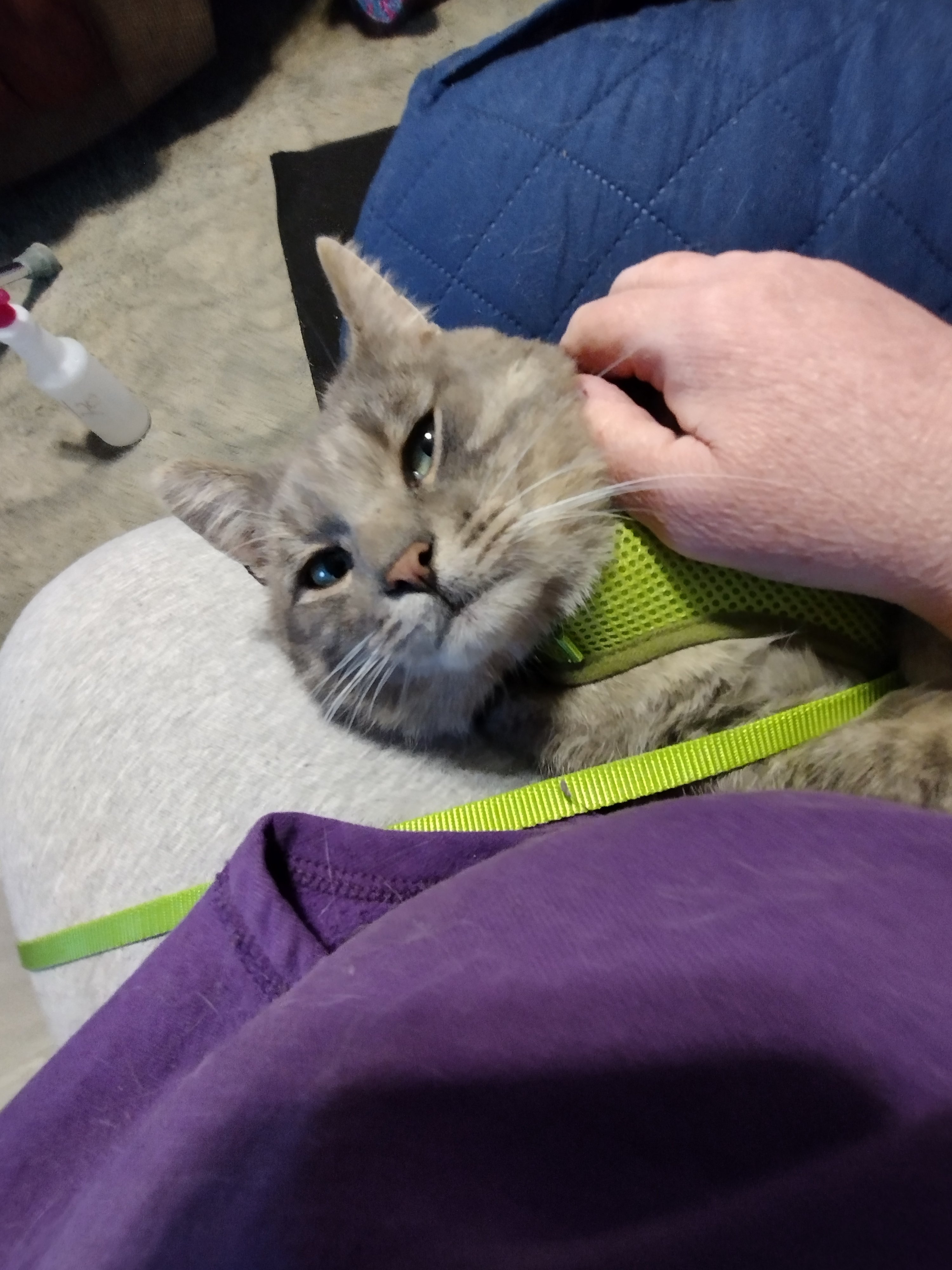 img_20221017_133538004906782507873239801