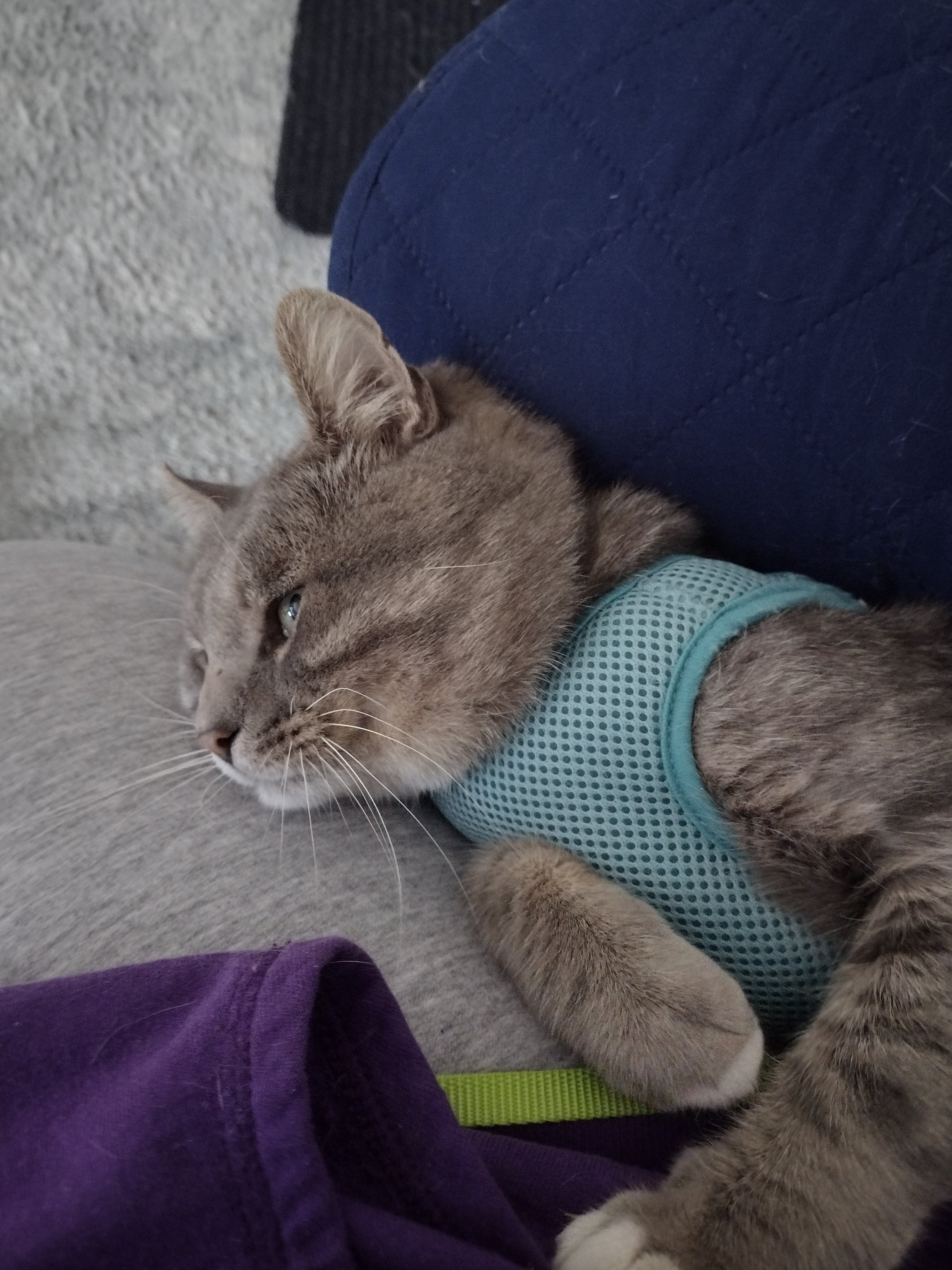 img_20221018_100159613_hdr3968508612526122456