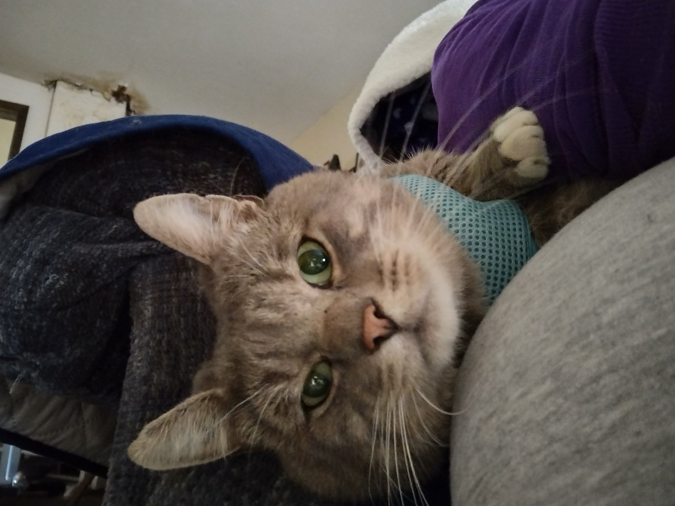 img_20221018_100341425_hdr4248254670254934710