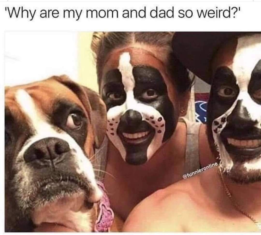 fb_img_16666555136896857200704635522436