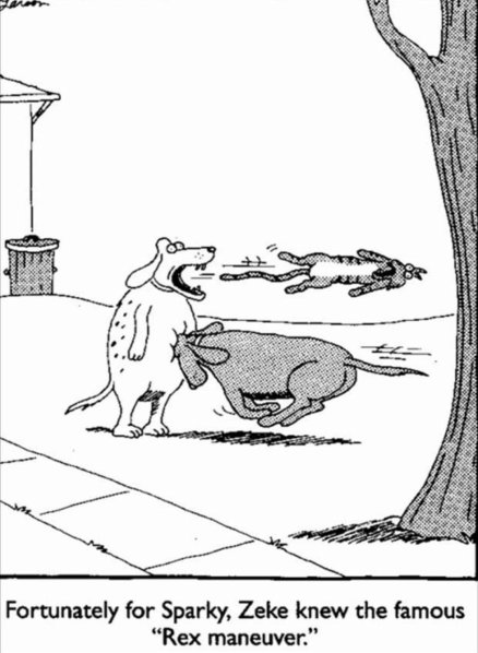 fb_img_16671424261586527108004965713455