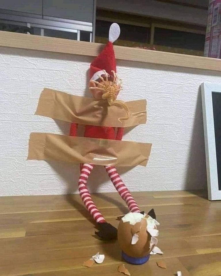 267976148_461258165357673_6366819330190414241_n