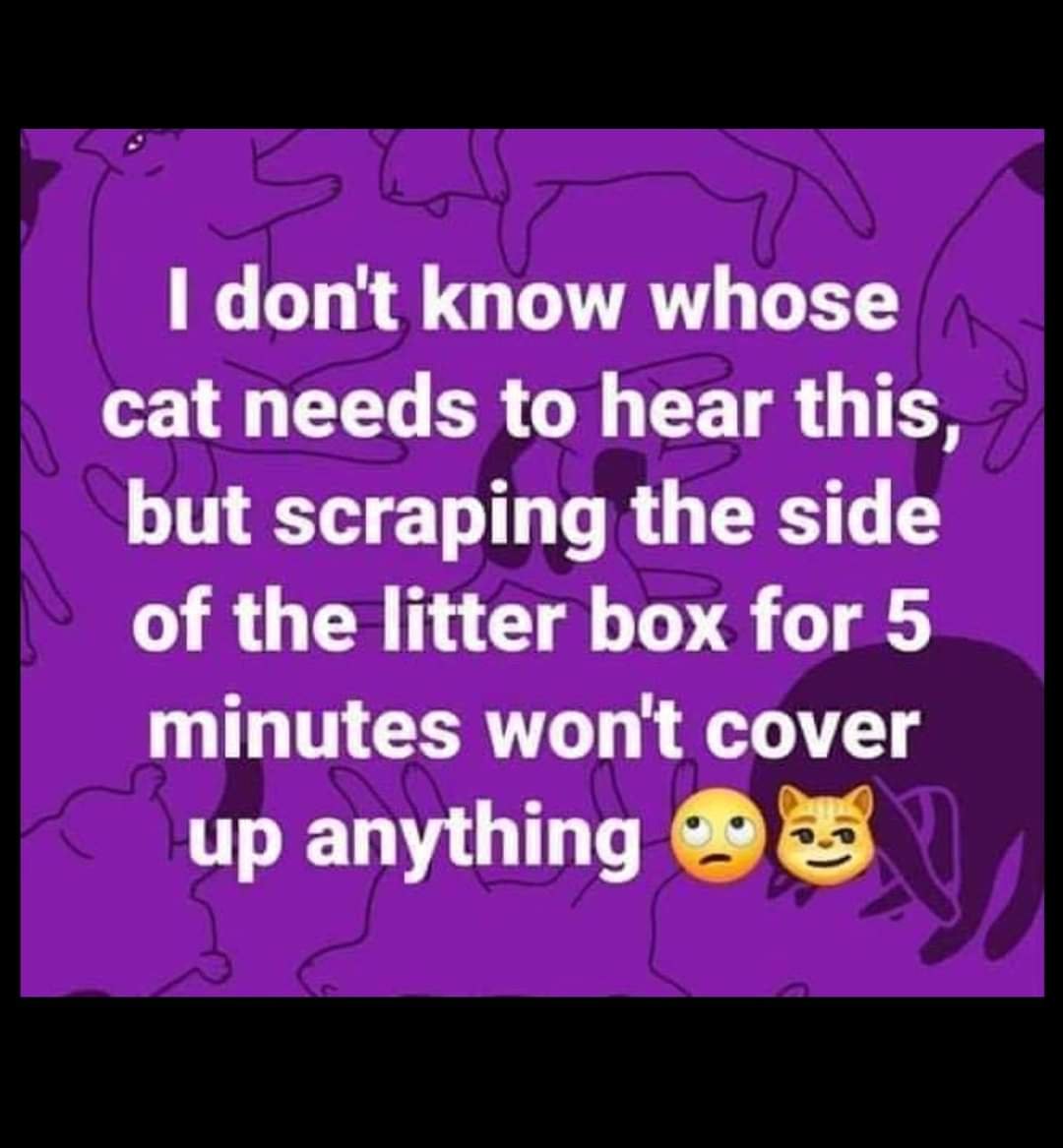 fb_img_16681110686119120405848526828826