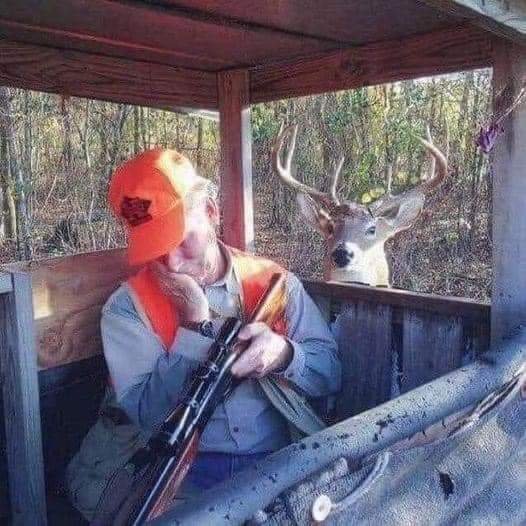 fb_img_16683492998526091790312943288322