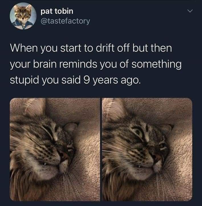 fb_img_16730347331391498255066466025078