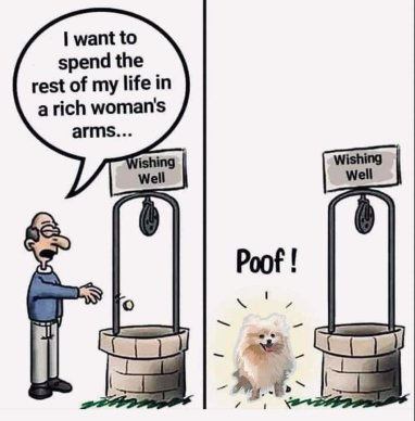 fb_img_16748349391415585202960613030947