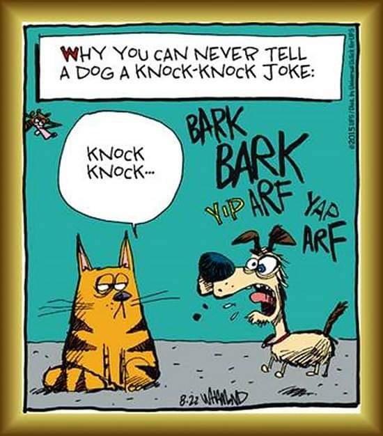 fb_img_1674835114458315426826303688039