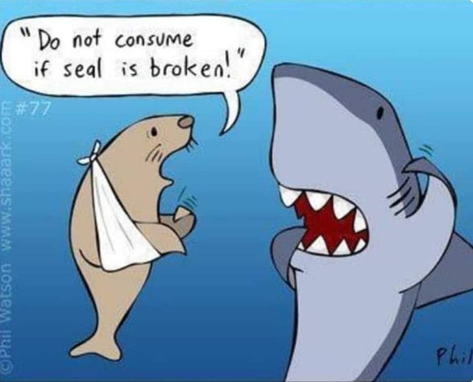 fb_img_16748357052248966590915326138423