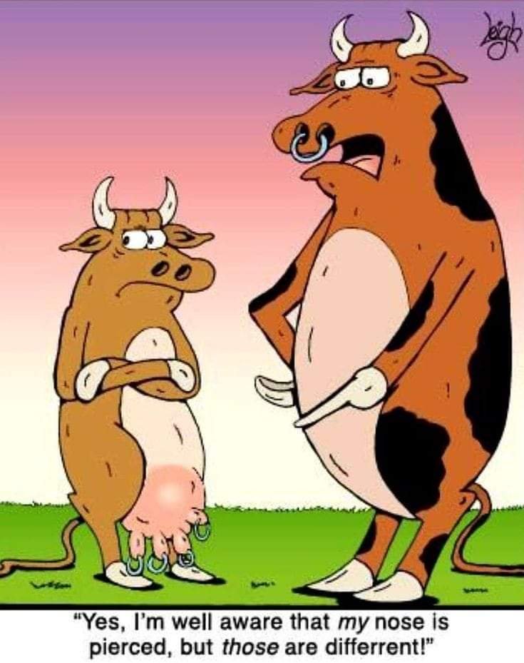 fb_img_16748362764114653101300122087374