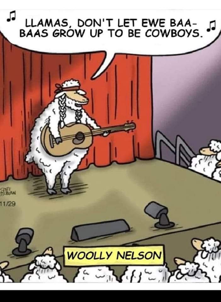 fb_img_16757881347055198359371441178225