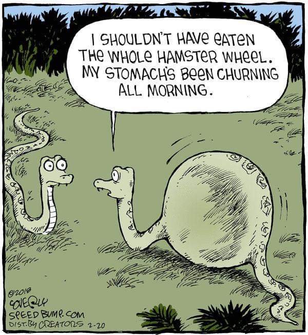 fb_img_16758114114069003184863167874476