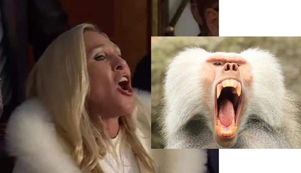 fb_img_16758749604778327207651682508827