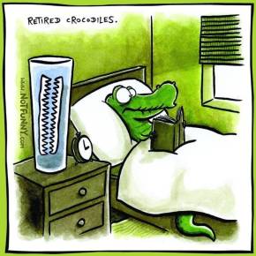 326908252_922268608770918_3140214347158077934_n