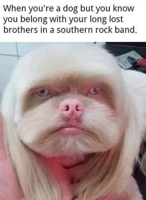 328715152_730527811757277_3331656516657033506_n