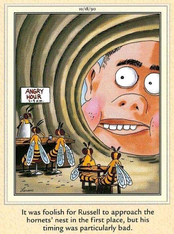 332460032_949087999765838_4014073404033622727_n