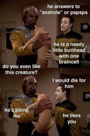 332569316_1359882994852156_2740185912709135781_n