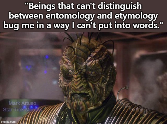 333269310_1300302254161730_5074386276810919108_n