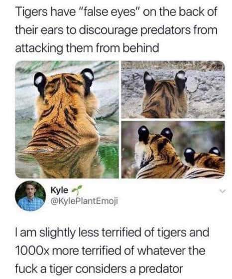 334060320_210682268288015_8142689913433308565_n