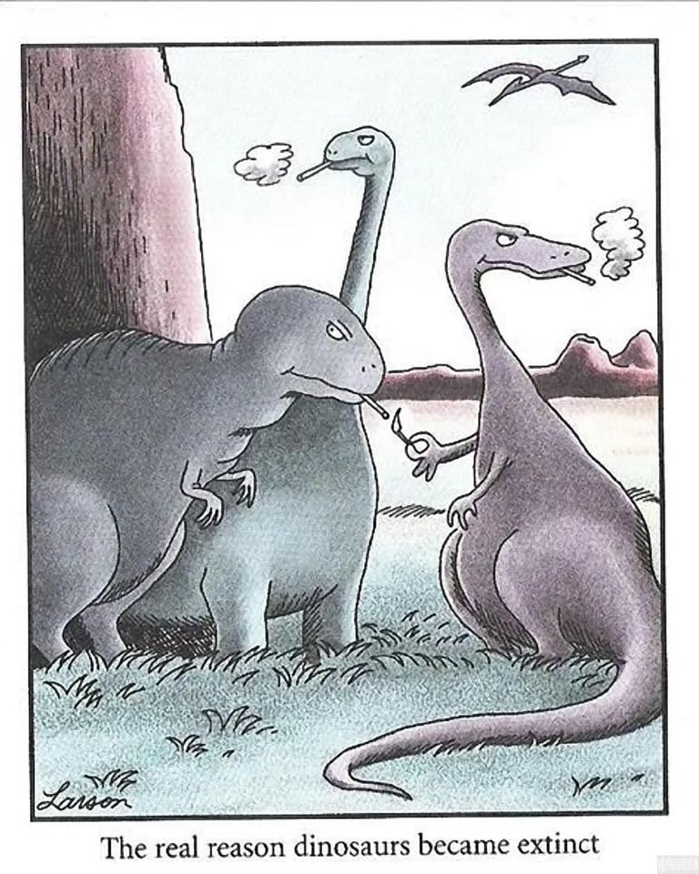 335452530_1901391876885698_3850117732551573969_n