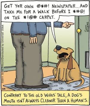 335673764_1544443829358520_8415678309298621620_n