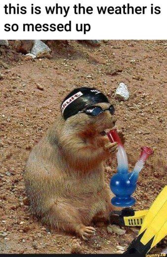 fb_img_16789385044398264006630195823057