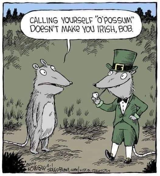 fb_img_16789934771825536256939673776940