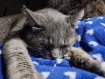 img_20230301_004052229_hdr3547858566362286173