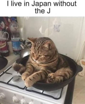 341854098_1385766602266984_7237845807691856950_n