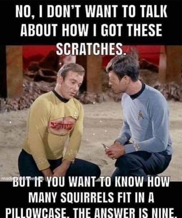 342649611_916852686097624_5138547861728213032_n