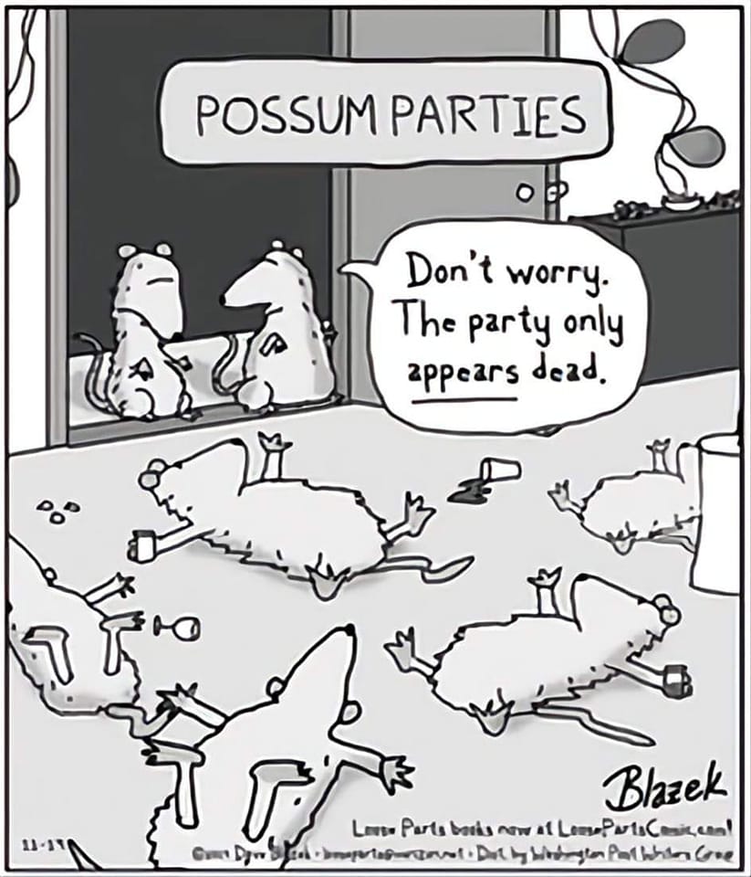 342975003_572023341578390_6377825829803333246_n