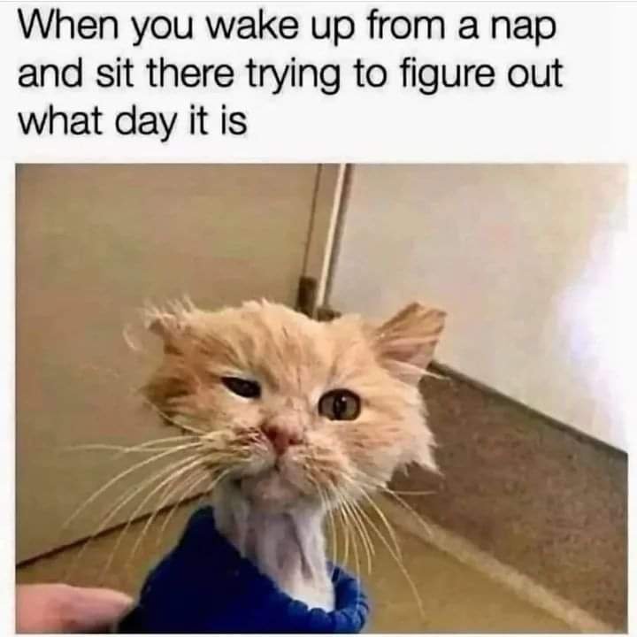 fb_img_16812456262874298763636104091981