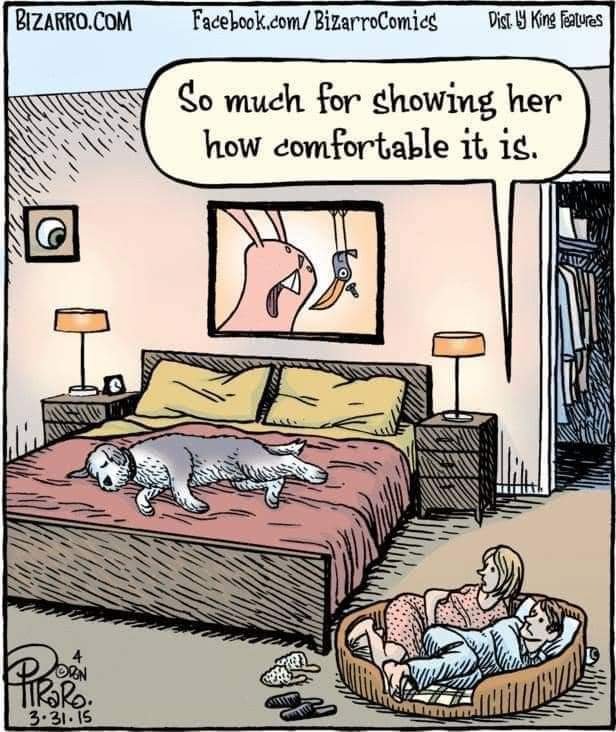 fb_img_16821902921992474262225806379525